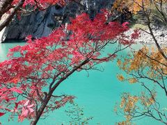 -叠溪松坪沟景区