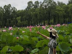 -东郊湿地公园
