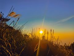 -梧桐山风景名胜区