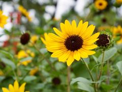 -上海山野camping·户外天幕烧烤·团建拓展营地