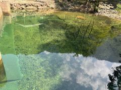 -芦茨金富饭庄·25年老字号·专做稻草鸡