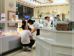 -蒲公英(五里店)