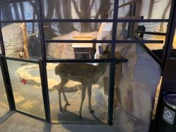 -酷嗒动物文化乐园(cutezoo西溪乐天城店)