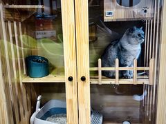 -艺味深尝(云锦路店)