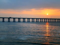 -宝安西湾红树林湿地公园