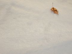 -南京维景国际大酒店(南京博物院店)