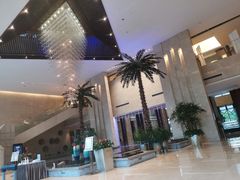 -常州环球恐龙城维景国际大酒店