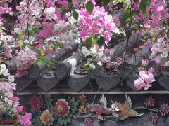 -深圳国际园林花卉博览园