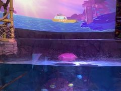 -沈阳海洋探索中心