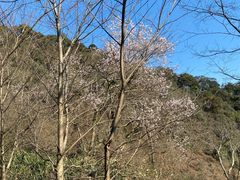 -北仑森林植物园