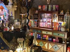 -雪灵魔法世界SHELLY’S TAROT(大良桂畔里店)