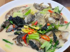 -宁远血鸭酒家(永州店)