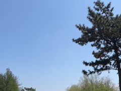 -羊亭河湿地公园