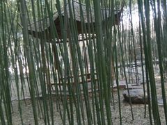 android_upload_pic-竹泉村旅游度假区