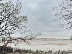 -宝安西湾红树林湿地公园