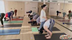 -酉嘉瑜伽YO+YOGA