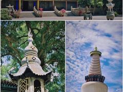 -张掖大佛寺景区