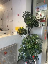 -LJOY丽锦造型·烫发染发