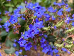 -华南国家植物园-售票处