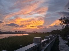 -江心屿景区