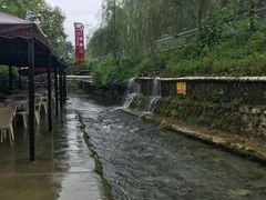 -源泉冷水鱼庄(小鱼洞店)