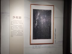 -桂湖森林公园