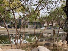 -枫花园汽车电影院(朝阳公园店)