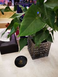-南京康美美容医院·旗舰店