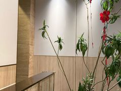 -五星桥原切肥牛火锅(怀德桥店)