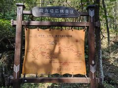 -梭布垭石林景区