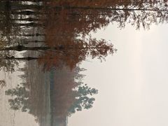 -白鹭湾湿地公园