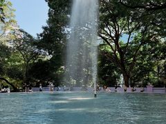 -九龙公园