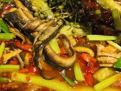 -雲蜀龙阁·金牌水煮鱼(方庄店)