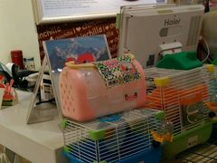 -龙猫仔乐园(惠福东路店)