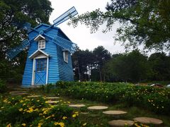 -铁山坪森林公园