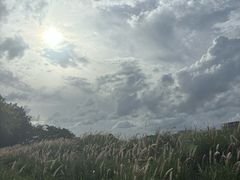 -光明小镇欢乐田园