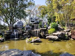 -东莞植物园