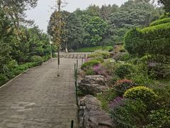 -铁山坪森林公园