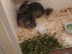 -龙猫仔乐园(惠福东路店)