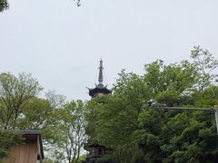 -上海佘山国家森林公园西佘山园