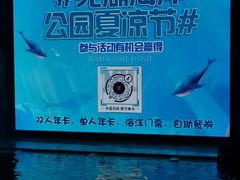 -芜湖新华联大白鲸海洋公园