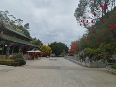 -神光山国家森林公园