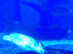 -多彩贵州城极地海洋世界