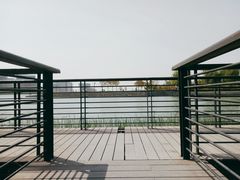 -郑东新区龙湖公共艺术中心