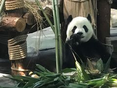 -泉州海丝野生动物世界