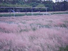 -嘉北郊野公园