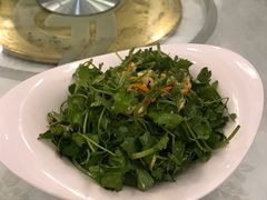-万宝海鲜舫(劳动公园店)