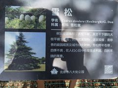 -八大处公园