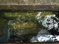 -白沙古井