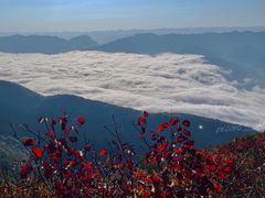 -白帝城·瞿塘峡景区